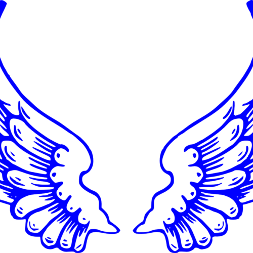 wing-2721822_12802